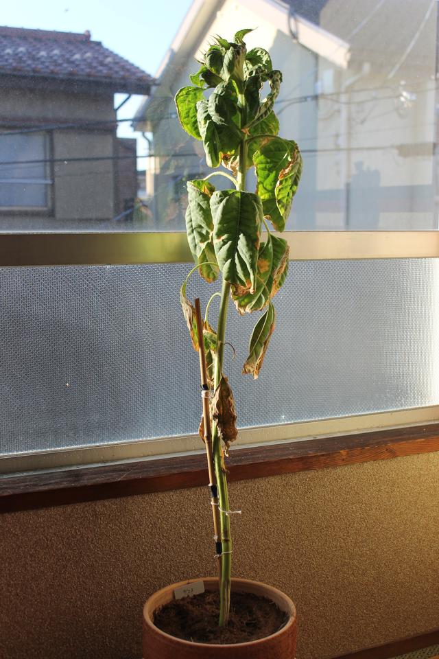 IMG_2054.png