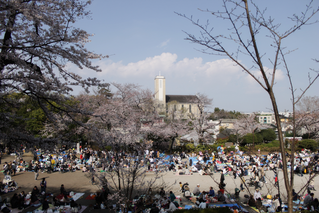 IMG_2314e.png