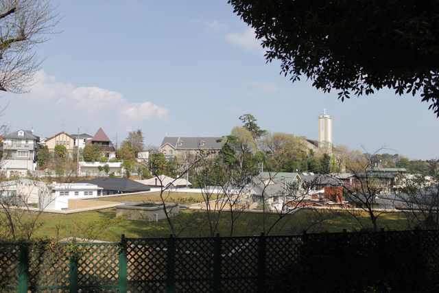 IMG_2316.png