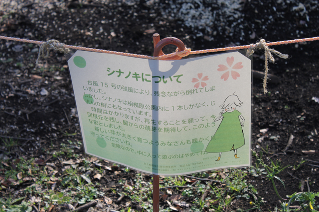 IMG_3424.png