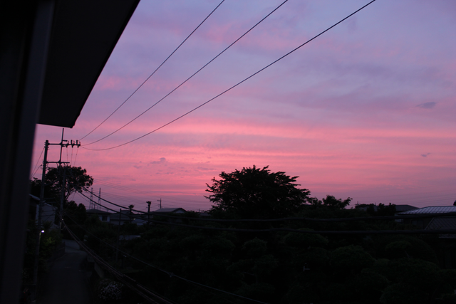 IMG_4198.png