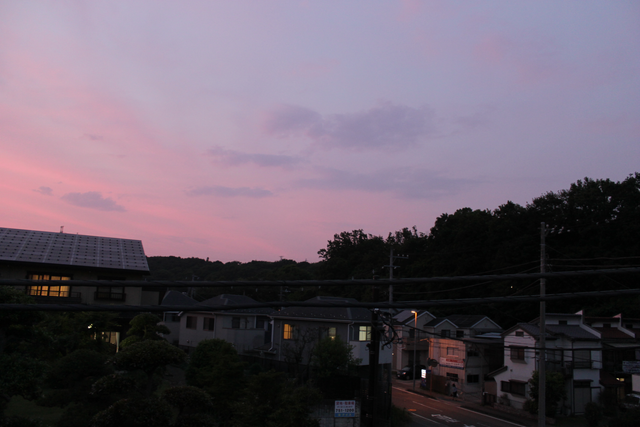 IMG_4203.png